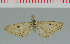  ( - MNVD-00213-E03)  @12 [ ] Copyright (2010) Unspecified Research Collection of Timm Karisch