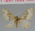  ( - MNVD-00213-H01)  @13 [ ] Copyright (2010) Unspecified Research Collection of Timm Karisch