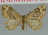  ( - MNVD-00213-H02)  @13 [ ] Copyright (2010) Unspecified Research Collection of Timm Karisch