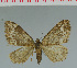  ( - MNVD-00213-H03)  @13 [ ] Copyright (2010) Unspecified Research Collection of Timm Karisch