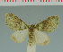  ( - MNVD-00213-H11)  @14 [ ] Copyright (2010) Unspecified Research Collection of Timm Karisch
