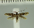  ( - MNVD-11449-A08)  @11 [ ] CreativeCommons - Attribution Non-Commercial (2018) T. Karisch MNVD