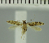  ( - MNVD-11449-A09)  @11 [ ] CreativeCommons - Attribution Non-Commercial (2018) T. Karisch MNVD