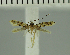  ( - MNVD-11449-A10)  @11 [ ] CreativeCommons - Attribution Non-Commercial (2018) T. Karisch MNVD