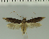  ( - MNVD-11449-E09)  @11 [ ] CreativeCommons - Attribution Non-Commercial (2018) T. Karisch MNVD