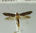  ( - MNVD-11449-E10)  @11 [ ] CreativeCommons - Attribution Non-Commercial (2018) T. Karisch MNVD