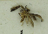  ( - MNVD-46770-B01)  @11 [ ] by-nc (2025) T.Karisch MNVD