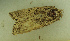  ( - MNVD-46770-B04)  @11 [ ] by-nc (2025) T.Karisch MNVD