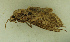  ( - MNVD-46770-B06)  @11 [ ] by-nc (2025) T.Karisch MNVD