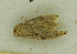  ( - MNVD-46770-C01)  @11 [ ] by-nc (2025) T.Karisch MNVD