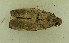  ( - MNVD-46770-C02)  @11 [ ] by-nc (2025) T.Karisch MNVD