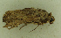  ( - MNVD-46770-C09)  @11 [ ] by-nc (2025) T.Karisch MNVD