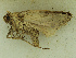  ( - MNVD-46770-D05)  @11 [ ] by-nc (2025) T.Karisch MNVD