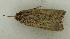  ( - MNVD-46770-F05)  @11 [ ] by-nc (2025) T.Karisch MNVD