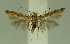  ( - MNVD-48280_C05)  @11 [ ] by-nc (2024) T.Karisch MNVD