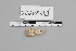  ( - DO21026)  @12 [ ] CreativeCommons  Attribution Non-Commercial (2022) Brigitte Gottsberger University of Vienna, Dept of Botany and Biodiversity Research
