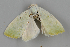  ( - KF19016)  @11 [ ] CreativeCommons  Attribution Non-Commercial No Derivatives (2019) Brigitte Gottsberger University of Vienna, Department of Botany and Biodiversity research