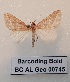  ( - BC-AL-Geo-00745)  @11 [ ] cc (2023) Antoine Leveque MNHN
