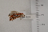  ( - 10TEOSA-1225)  @12 [ ] No Rights Reserved  Olivier Maurin University of Johannesburg