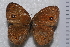  ( - TvW0009)  @11 [ ] No Rights Reserved  Unspecified Unspecified