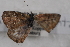  (Zintha - TvW0023)  @11 [ ] No Rights Reserved  Unspecified Unspecified