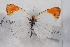  ( - TvW0037)  @11 [ ] No Rights Reserved  Unspecified Unspecified