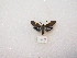  ( - MACN-Bar-Lep-ct 02942)  @12 [ ] Copyright (2011) MACN Museo Argentino de Ciencias Naturales 
