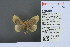  ( - RMNH.INS.13573)  @12 [ ] Unspecified (default): All Rights Reserved  Unspecified Unspecified