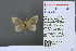  ( - RMNH.INS.13574)  @12 [ ] Unspecified (default): All Rights Reserved  Unspecified Unspecified