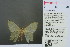  ( - RMNH.INS.13883)  @12 [ ] Unspecified (default): All Rights Reserved  Unspecified Unspecified