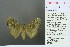  ( - RMNH.INS.13939)  @13 [ ] Unspecified (default): All Rights Reserved  Unspecified Unspecified