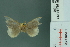  ( - RMNH.INS.11957)  @12 [ ] Unspecified (default): All Rights Reserved  Unspecified Unspecified