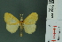  ( - RMNH.INS.11959)  @12 [ ] Unspecified (default): All Rights Reserved  Unspecified Unspecified