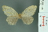  ( - RMNH.INS.11971)  @12 [ ] Unspecified (default): All Rights Reserved  Unspecified Unspecified