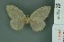  ( - RMNH.INS.11971)  @12 [ ] Unspecified (default): All Rights Reserved  Unspecified Unspecified