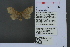  ( - RMNH.INS.13542)  @12 [ ] Unspecified (default): All Rights Reserved  Unspecified Unspecified