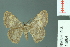  ( - RMNH.INS.13964)  @11 [ ] Unspecified (default): All Rights Reserved  Unspecified Unspecified