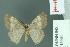  ( - RMNH.INS.13964)  @11 [ ] Unspecified (default): All Rights Reserved  Unspecified Unspecified