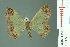  ( - RMNH.INS.13965)  @11 [ ] Unspecified (default): All Rights Reserved  Unspecified Unspecified