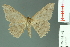 ( - RMNH.INS.13972)  @14 [ ] Unspecified (default): All Rights Reserved  Unspecified Unspecified