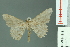  ( - RMNH.INS.13973)  @13 [ ] Unspecified (default): All Rights Reserved  Unspecified Unspecified