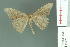 ( - RMNH.INS.13973)  @13 [ ] Unspecified (default): All Rights Reserved  Unspecified Unspecified
