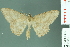  ( - RMNH.INS.13974)  @14 [ ] Unspecified (default): All Rights Reserved  Unspecified Unspecified