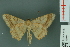  ( - RMNH.INS.13974)  @14 [ ] Unspecified (default): All Rights Reserved  Unspecified Unspecified