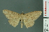  ( - RMNH.INS.13975)  @14 [ ] Unspecified (default): All Rights Reserved  Unspecified Unspecified