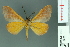  ( - RMNH.INS.13988)  @13 [ ] Unspecified (default): All Rights Reserved  Unspecified Unspecified