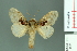  ( - RMNH.INS.14005)  @13 [ ] Unspecified (default): All Rights Reserved  Unspecified Unspecified