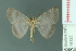  ( - RMNH.INS.14123)  @13 [ ] Unspecified (default): All Rights Reserved  Unspecified Unspecified