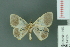 ( - RMNH.INS.14124)  @13 [ ] Unspecified (default): All Rights Reserved  Unspecified Unspecified