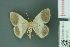 ( - RMNH.INS.14125)  @13 [ ] Unspecified (default): All Rights Reserved  Unspecified Unspecified